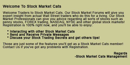 Register at Stock Market Cats